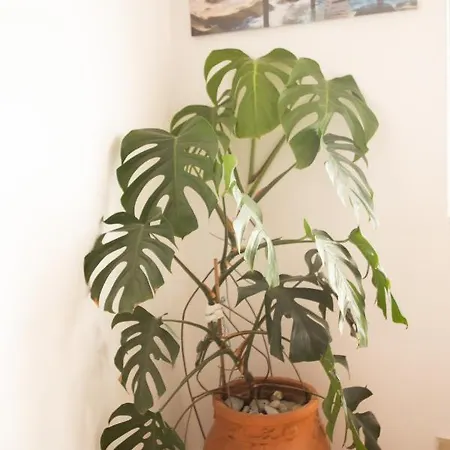 Nikorina Apts Apartament Lefkáda